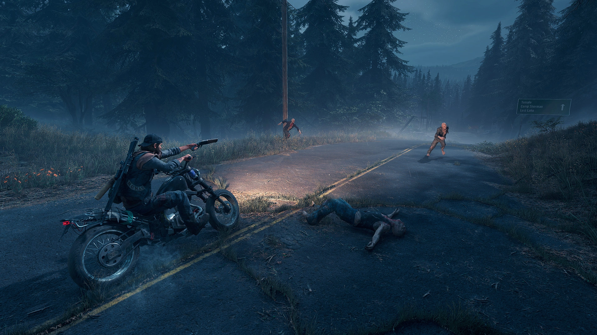 About the Days Gone