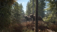 The Hunter Call of the Wild Steam Key PC - Global - Buy Game Key - 1