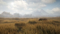 The Hunter Call of the Wild Steam Key PC - Global - Buy Game Key - 2