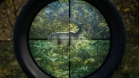 The Hunter Call of the Wild Steam Key PC - Global - Buy Game Key - 3