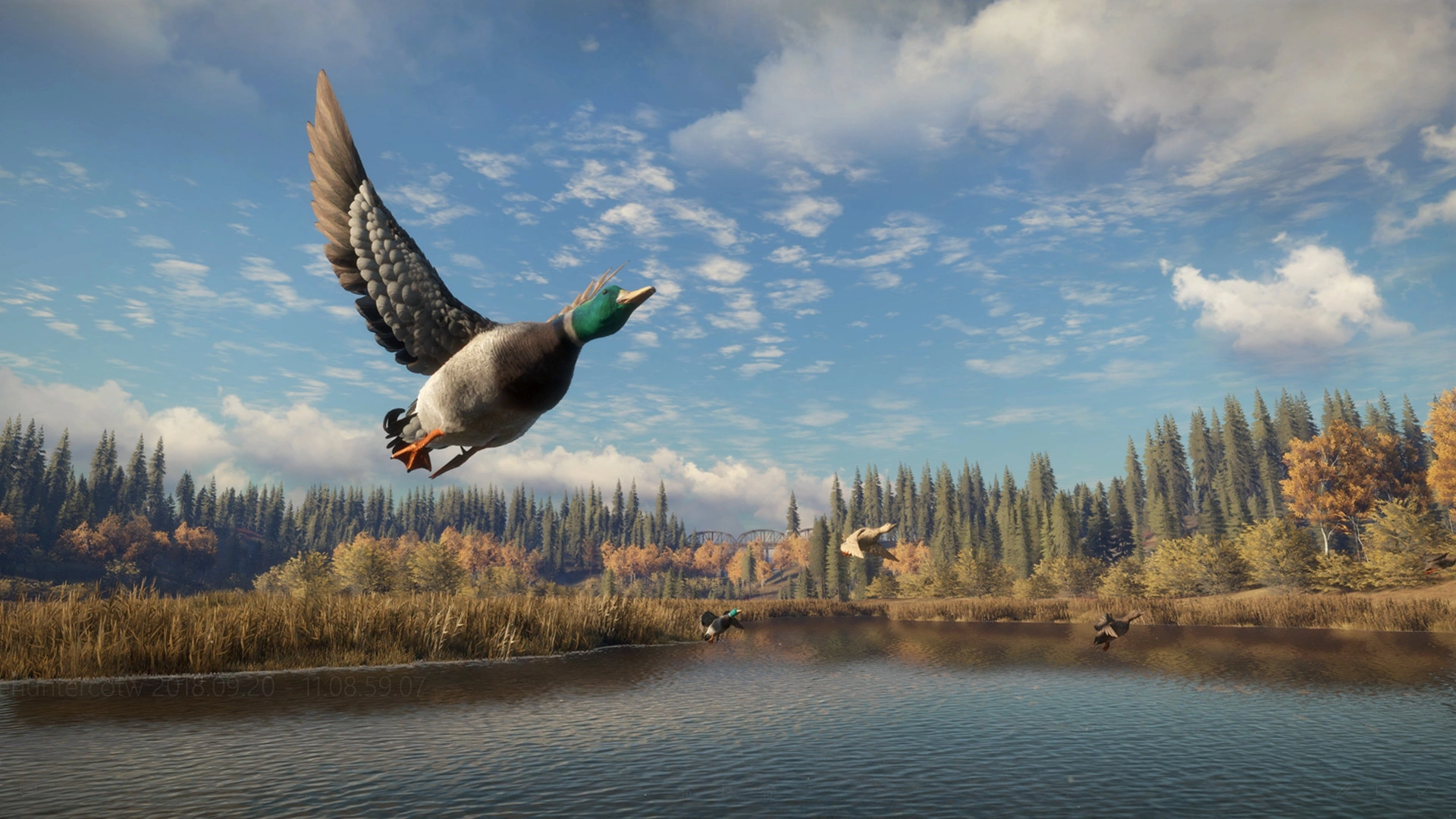 About The Hunter Call of the Wild