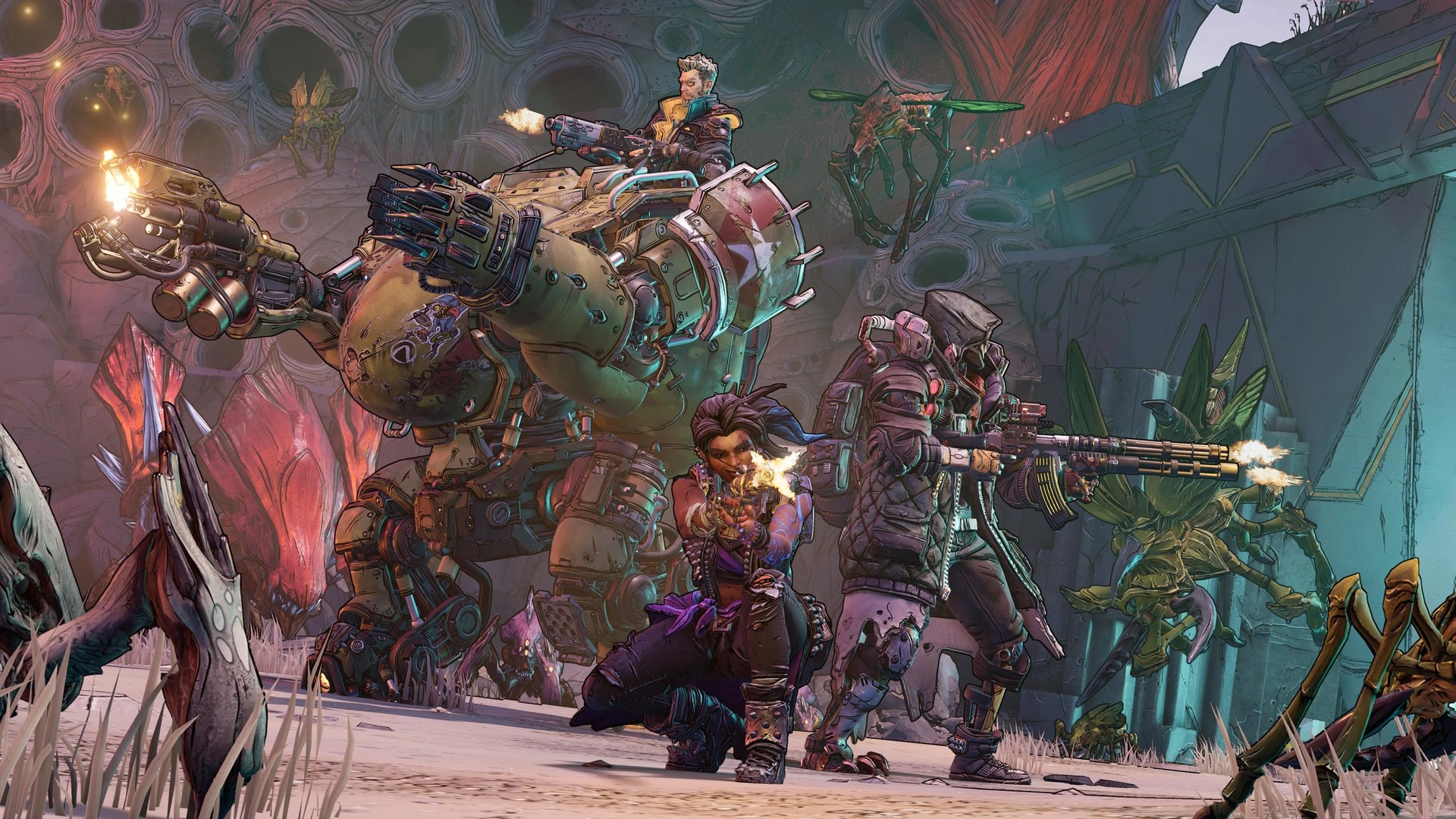 About the Borderlands 3