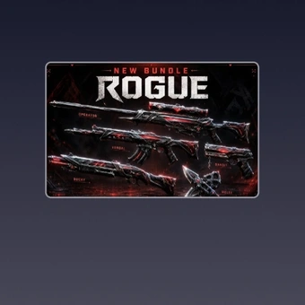 حزمة Rogue | Valorant