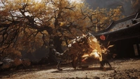 Black Myth: Wukong XBOX/PC Key - Game Key kaufen - 3