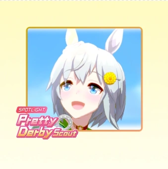 100 Draws Pretty Derby | Umamusume: Pretty Derby