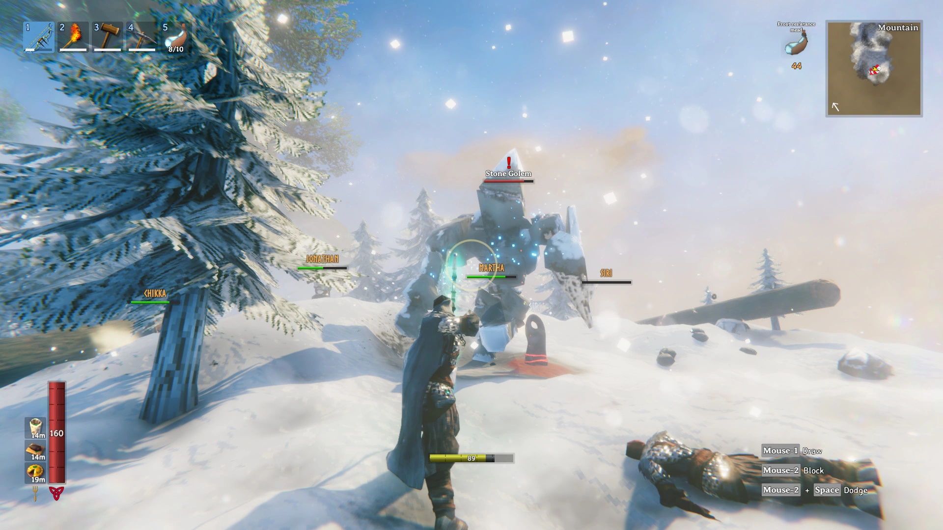 About the Valheim
